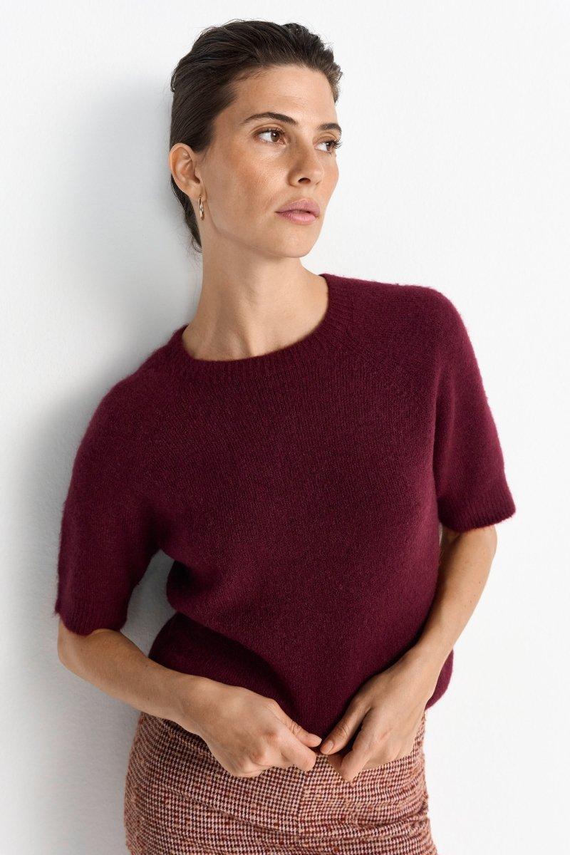 Feinstrickpullover mit Kurzarm - Image 6